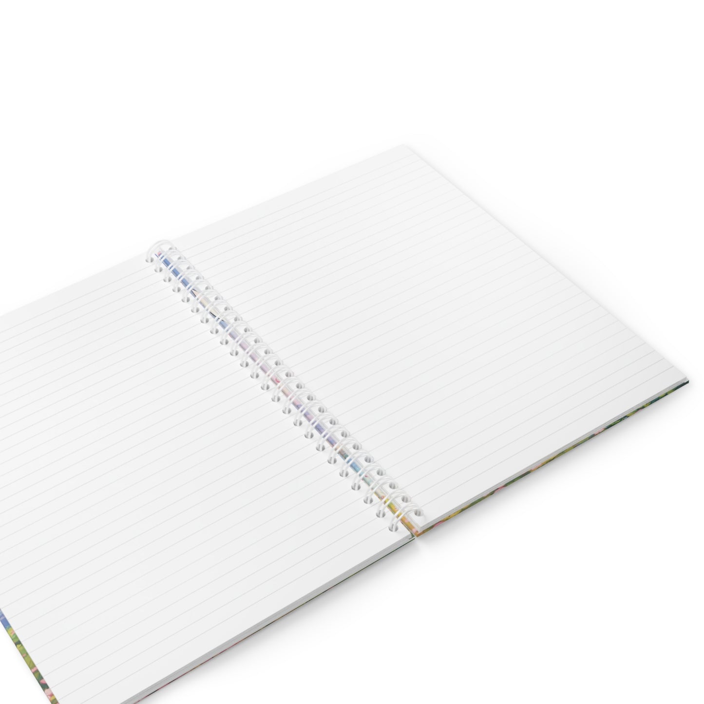 Takeshi Trunktrotter Notebook